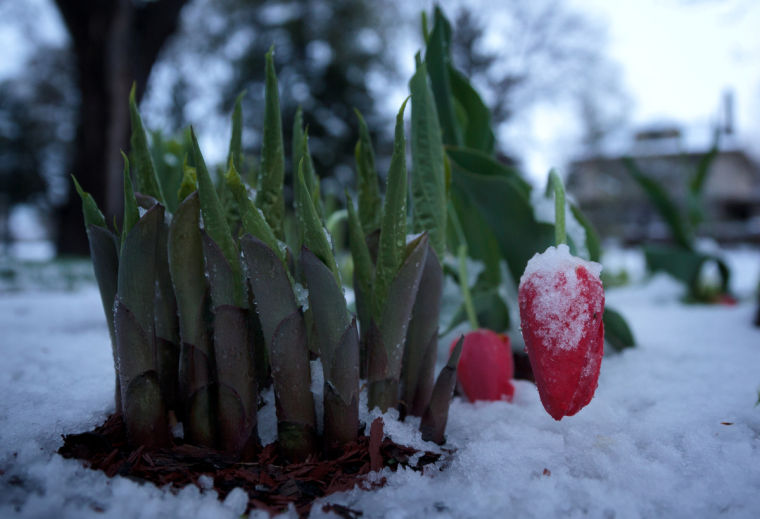 Freak storm tops the year's weather stories